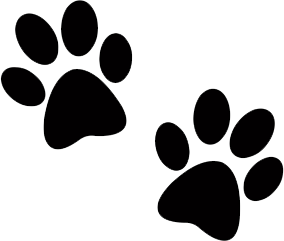 Dog Foot Prints Dog Foot Prints